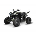 Logo Quad Sportif